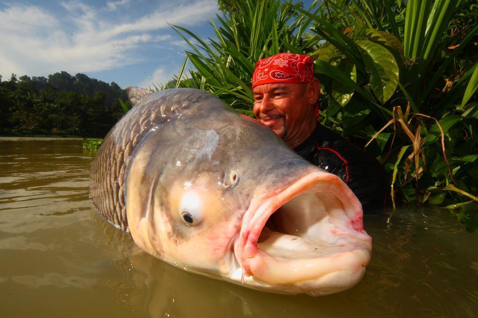 Ardy Veltkamp - 13.jpg